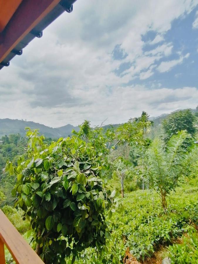 Green Nature Paradise Ella Bagian luar foto