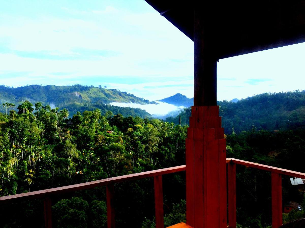 Green Nature Paradise Ella Bagian luar foto