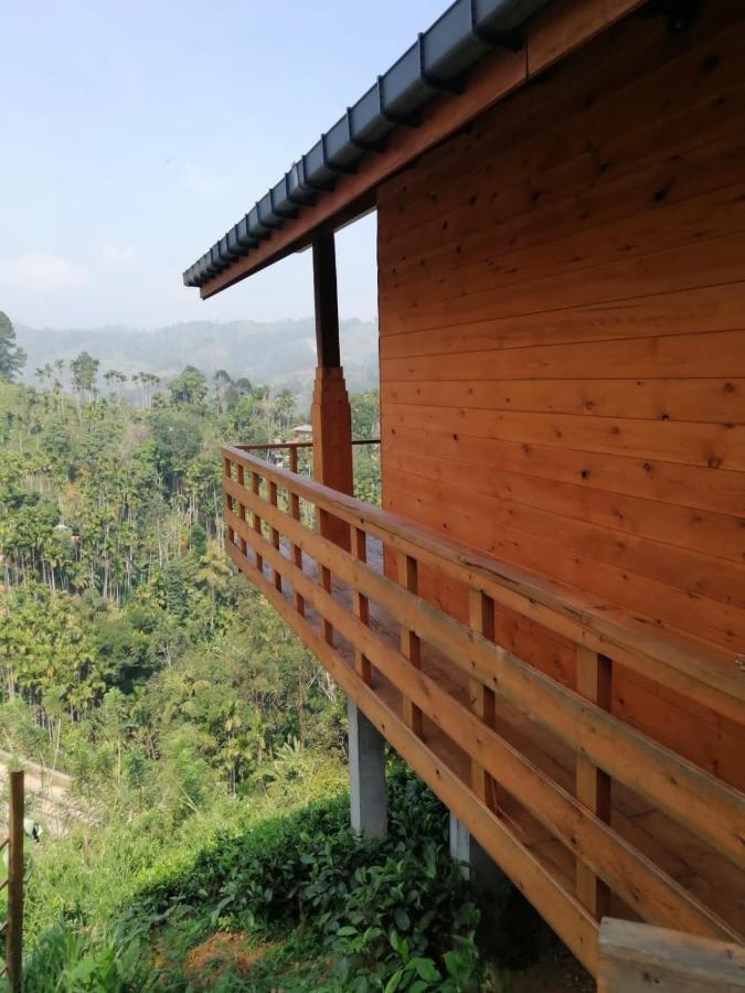 Green Nature Paradise Ella Bagian luar foto