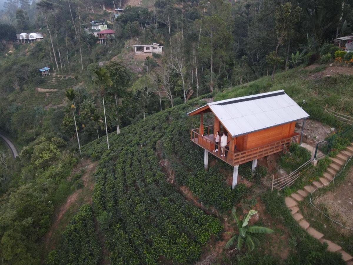 Green Nature Paradise Ella Bagian luar foto