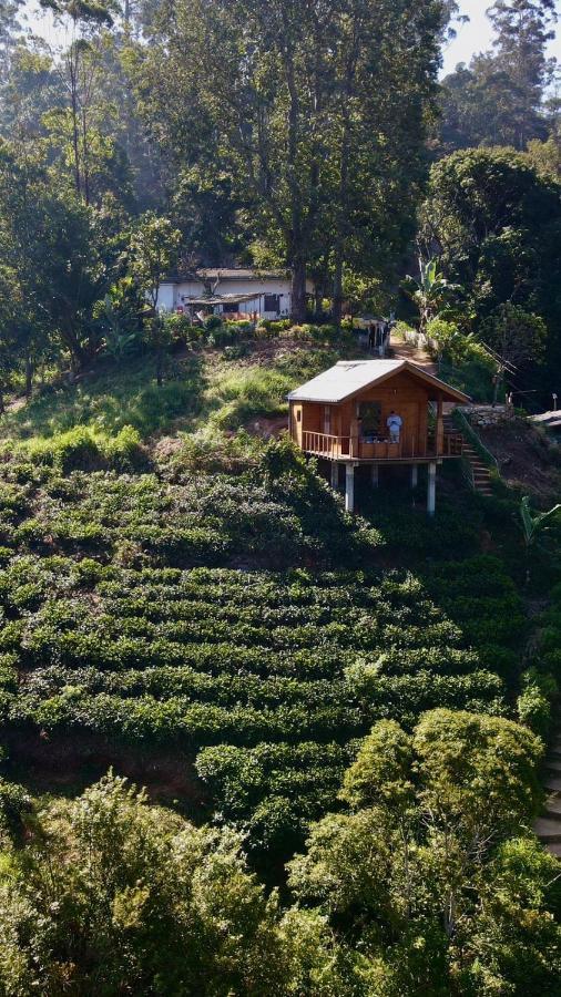 Green Nature Paradise Ella Bagian luar foto